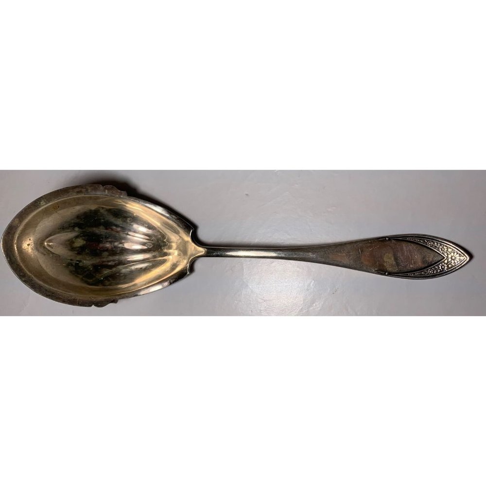 (STAR) R.&B. Silver Serving Spoon Floral Beautiful Dirty Pure?